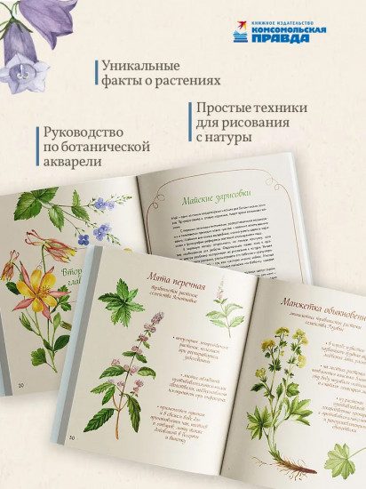 Акварельный лес. Ботанический дневник для любителей природы и акварели