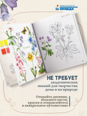 Акварельный лес. Ботанический дневник для любителей природы и акварели - Фото 6