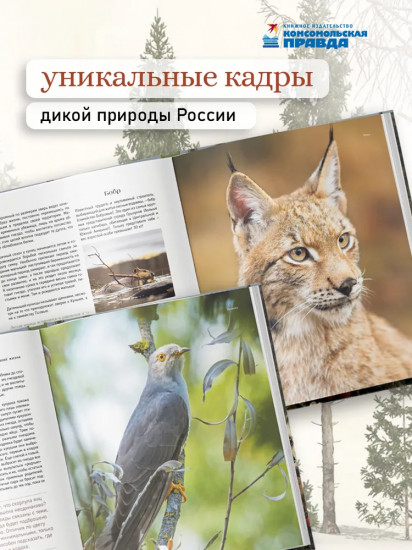 Тайная жизнь леса. Русская природа в фактах и зарисовках