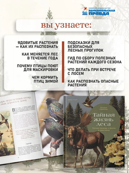 Тайная жизнь леса. Русская природа в фактах и зарисовках