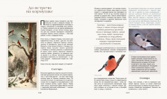 Тайная жизнь леса. Русская природа в фактах и зарисовках - Фото 14