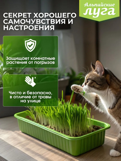 Травка для питомцев универсальная «7 трав»