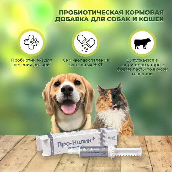Кормовая добавка для собак и кошек «Про-Колин»