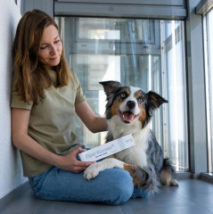 Кормовая добавка для собак и кошек «Про-Колин» - Фото 8