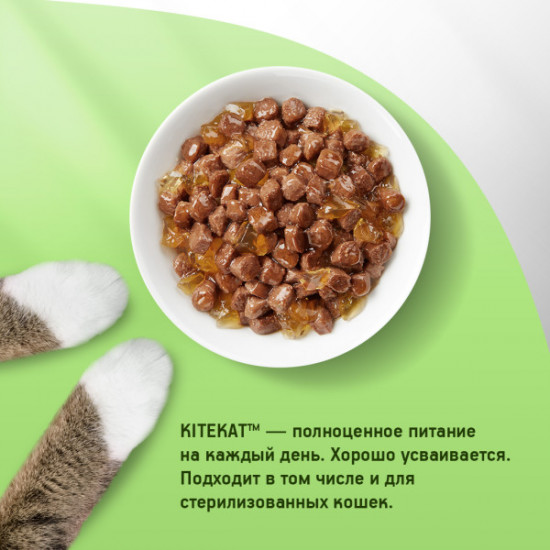 Корм для взрослых кошек с курицей в желе