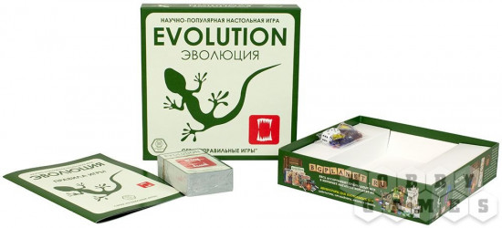 Игра настольная «Эволюция»