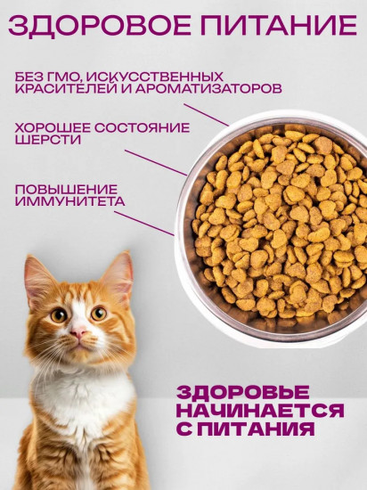 Сухой диетический корм для кошек при заболеваниях ЖКТ «VetSolution Cat Gastrointestinal»