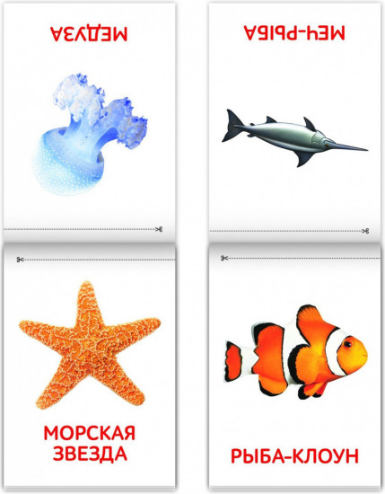 Карточки Домана. Окружающий мир. Набор книг