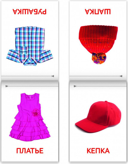 Карточки Домана. Окружающий мир. Набор книг