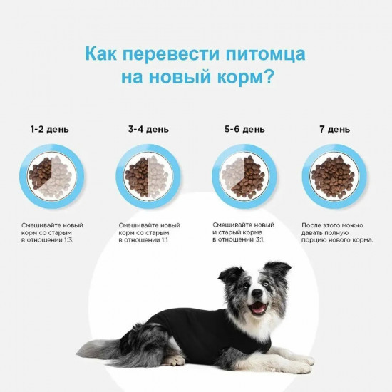 Корм для взрослых кошек с диким зайцем