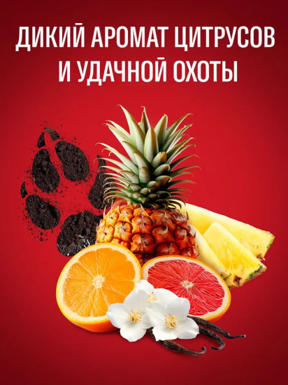 Набор дезодорантов-стиков для мужчин «Wolfthorn»