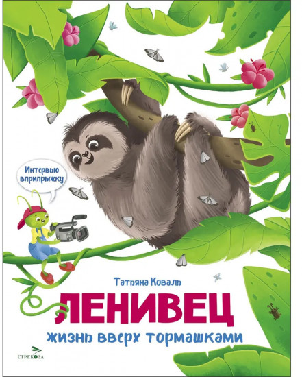 Интервью вприпрыжку. Ленивец