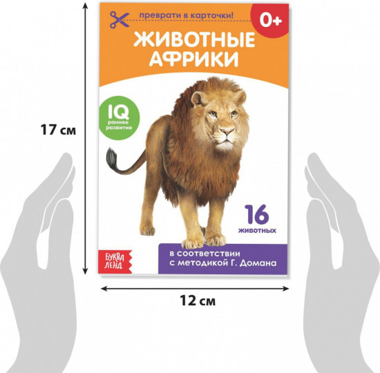 Набор карточек Домана для раннего развития