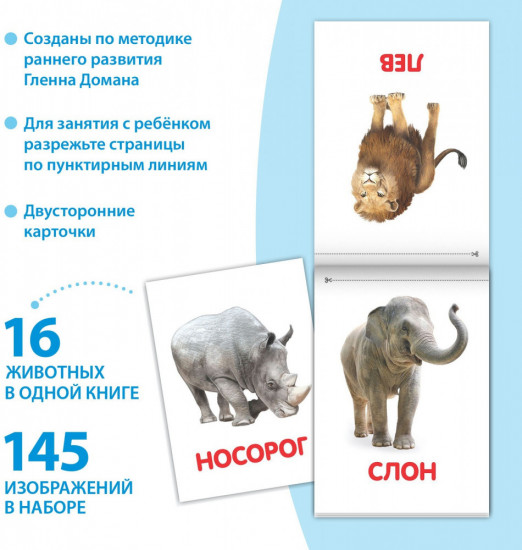 Набор карточек Домана для раннего развития