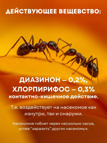 Биогель против садовых и домовых муравьев