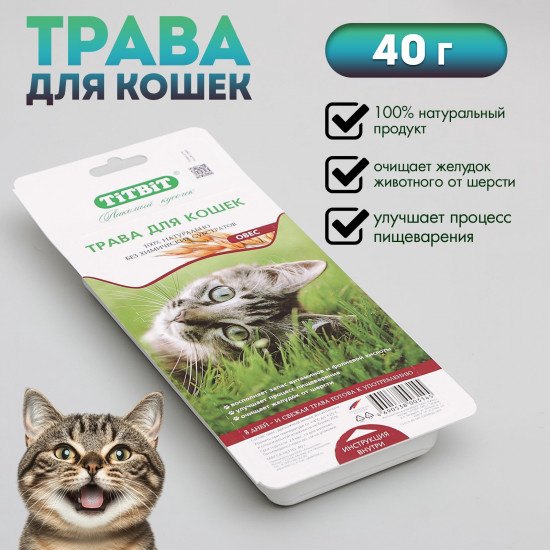 Трава для кошек «Овес»