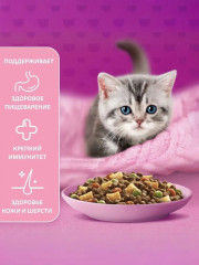 Сухой корм для котят с молочной начинкой, индейкой и морковью «Вкусные подушечки» - Фото 5