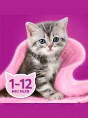 Сухой корм для котят с молочной начинкой, индейкой и морковью «Вкусные подушечки» - Фото 10