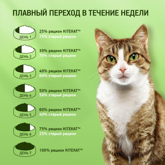 Корм для кошек «Лакомый ягненок в желе»