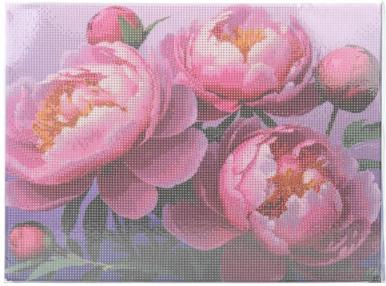 Мозаика алмазная «Пионы»