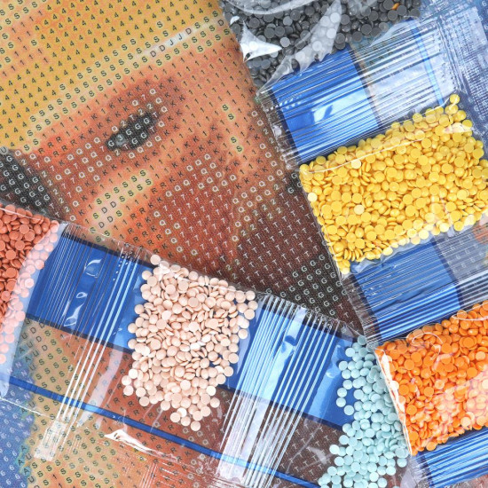 Мозаика алмазная «Капибара»