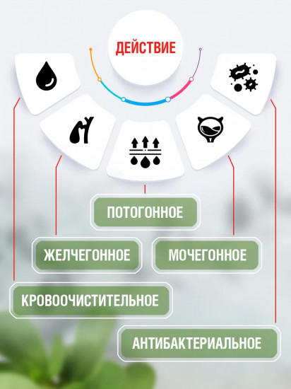 Эликсир «Здоровый кишечник»