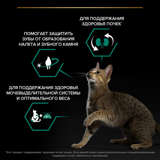 Корм сухой для стерилизованных кошек с кроликом «Sterilised. Adult. Renal Plus»