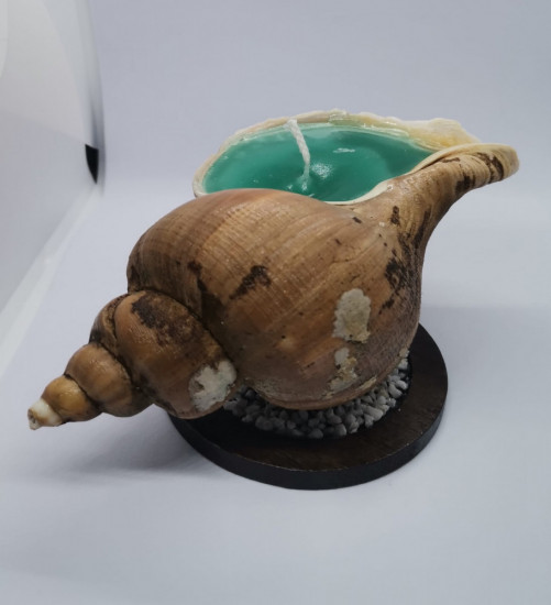 Свеча в натуральной ракушке