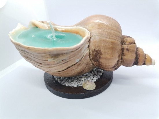 Свеча в натуральной ракушке