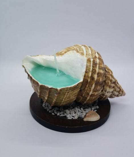 Свеча в натуральной ракушке