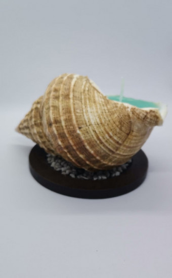 Свеча в натуральной ракушке