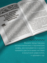 Мифы кельтских народов. Боги, герои, силы природы, символы, мотивы, ритуалы, друиды - Фото 3