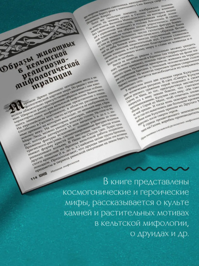 Мифы кельтских народов. Боги, герои, силы природы, символы, мотивы, ритуалы, друиды
