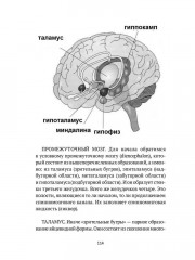 Человек многомерный. Книга 2 - Фото 9