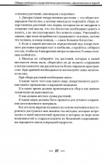 Лекарственные растения и способы их применения в народе - Фото 4