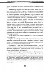 Лекарственные растения и способы их применения в народе - Фото 8