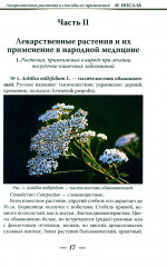 Лекарственные растения и способы их применения в народе - Фото 10