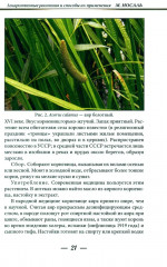 Лекарственные растения и способы их применения в народе - Фото 14