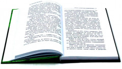 Чекист. Новое назначение. Секретная командировка. Комплект из 2 книг - Фото 8