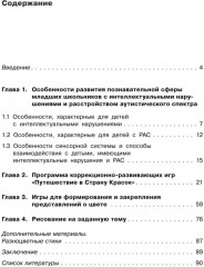 Коррекция цветовосприятия у младших школьников с интеллектуальными нарушениями и расстройством аутистического спектра - Фото 4