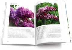 Сирень памяти. Сирень победы. Комплект из 2 книг - Фото 7