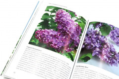 Сирень памяти. Сирень победы. Комплект из 2 книг - Фото 9