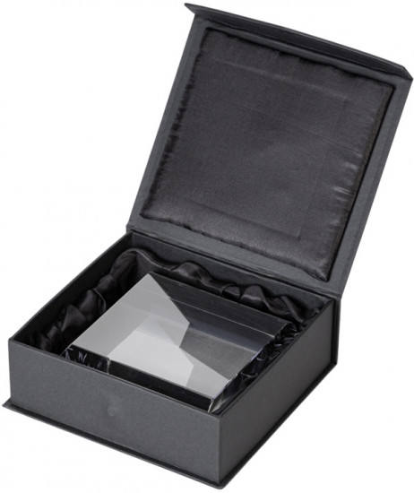 Награда «Triumph»