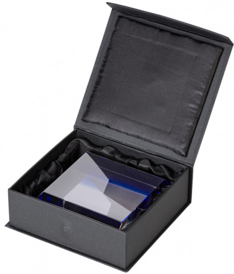 Награда «Triumph»