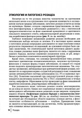 Розацеа - Фото 11