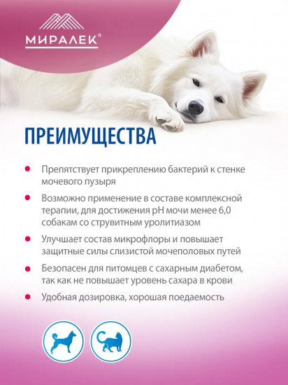 Лакомство функциональное для снижения риска развития и рецидива бактериального цистита у животных