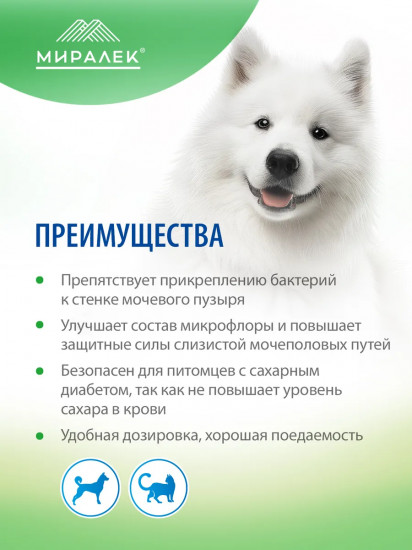 Лакомство функциональное для снижения риска развития и рецидива бактериального цистита у животных