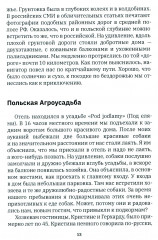 Германия, какой я ее увидела - Фото 8