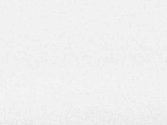 Полотенце «Terry 450»