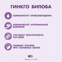 Капсулы «Гинкго Билоба №100» - Фото 2